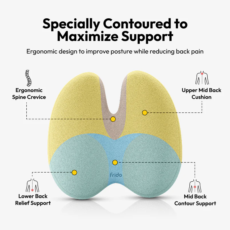 Frido Ultimate Pro Seating Combo - Image 5