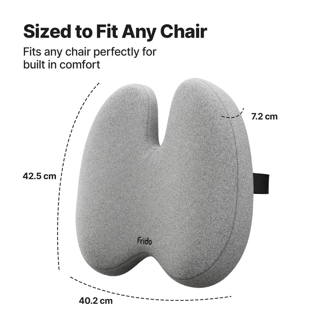 Frido Ultimate Pro Posture Corrector - Image 5
